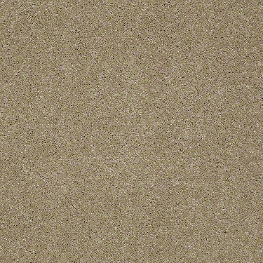 Pawparazzi I Residential Carpet