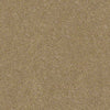 Pawparazzi I Residential Carpet