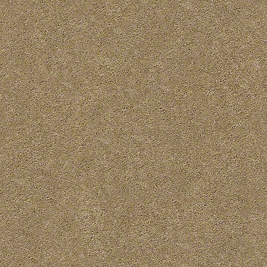 Pawparazzi I Residential Carpet