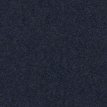 Pawparazzi I Residential Carpet