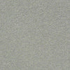 Pawparazzi I Residential Carpet