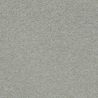 Pawparazzi I Residential Carpet