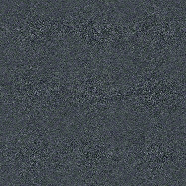Pawparazzi I Residential Carpet