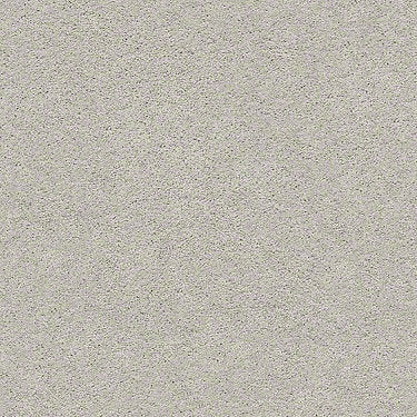 Pawparazzi I Residential Carpet