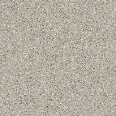 Pawparazzi I Residential Carpet