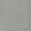 Pawparazzi I Residential Carpet