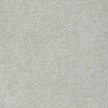 Pawparazzi I Residential Carpet