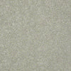 Pawparazzi I Residential Carpet