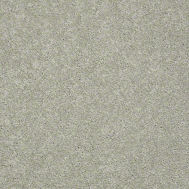 Pawparazzi I Residential Carpet