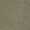 Pawparazzi I Residential Carpet
