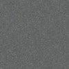 Pawparazzi I Residential Carpet