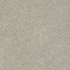 Pawparazzi I Residential Carpet