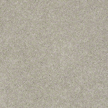 Pawparazzi I Residential Carpet