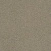 Pawparazzi I Residential Carpet