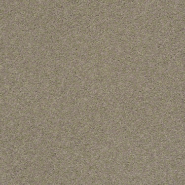 Pawparazzi I Residential Carpet