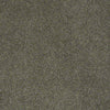 Pawparazzi I Residential Carpet