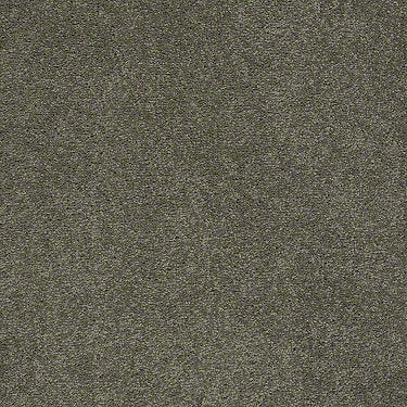 Pawparazzi I Residential Carpet