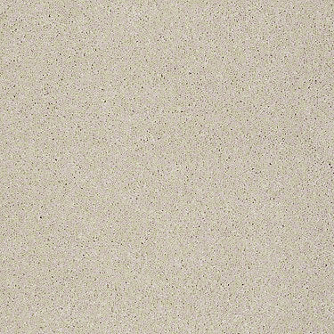 Real Life I Residential Carpet