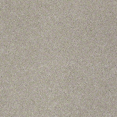 Real Life I Residential Carpet
