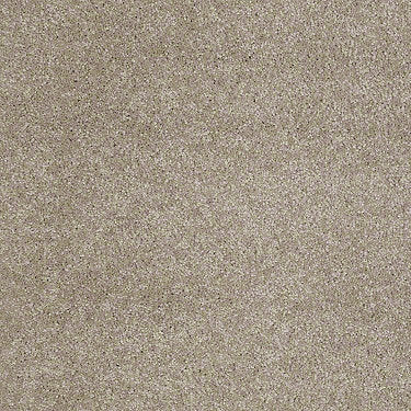 Real Life I Residential Carpet
