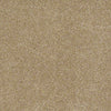 Real Life I Residential Carpet
