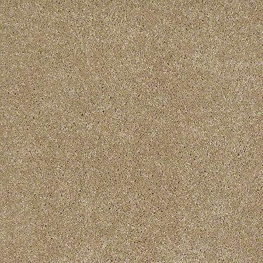 Real Life I Residential Carpet