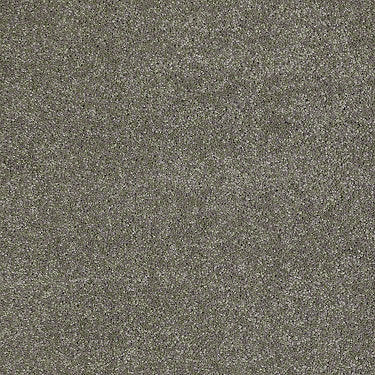 Real Life I Residential Carpet