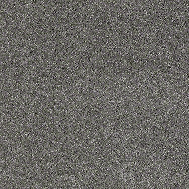 Real Life I Residential Carpet