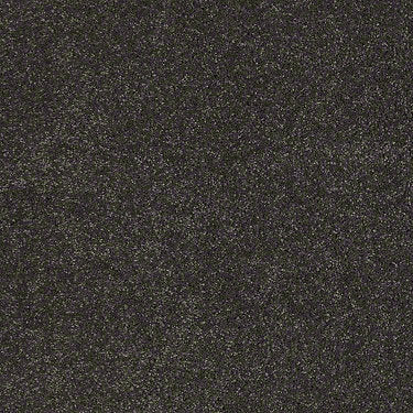 Real Life I Residential Carpet