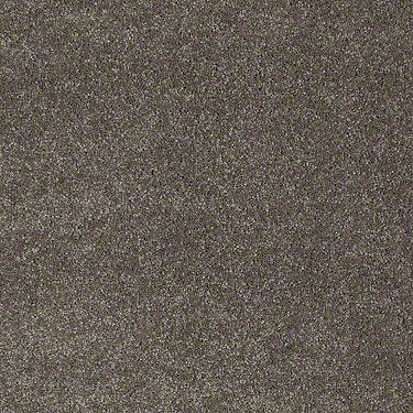Real Life I Residential Carpet