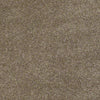 Real Life I Residential Carpet