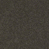 Real Life I Residential Carpet