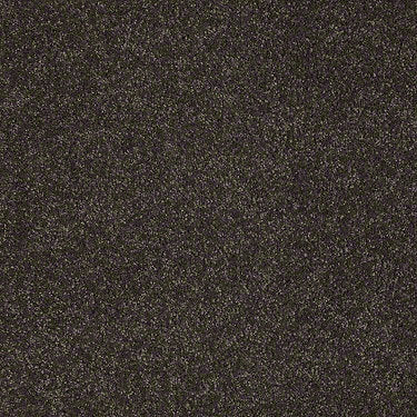 Real Life I Residential Carpet