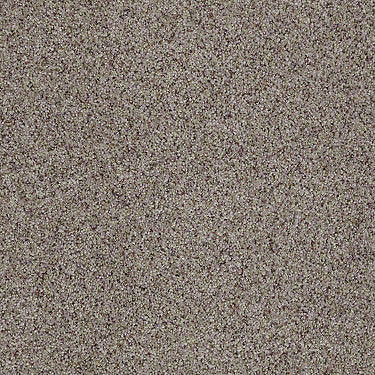 Real Life I Residential Carpet