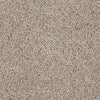 Real Life I Residential Carpet
