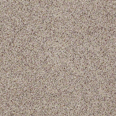 Real Life I Residential Carpet