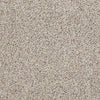 Real Life I Residential Carpet