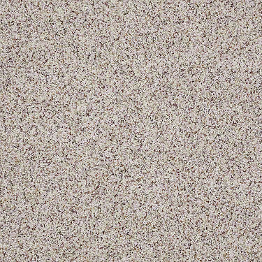 Real Life I Residential Carpet