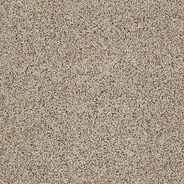Real Life I Residential Carpet
