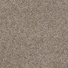 Real Life I Residential Carpet