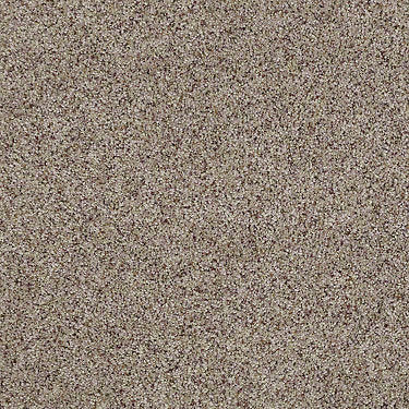 Real Life I Residential Carpet