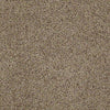 Real Life I Residential Carpet