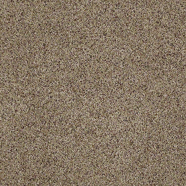 Real Life I Residential Carpet
