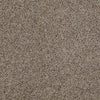 Real Life I Residential Carpet