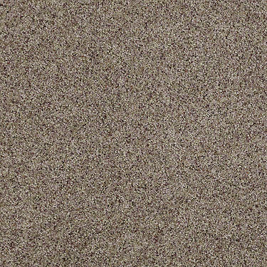 Real Life I Residential Carpet