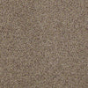 Real Life I Residential Carpet