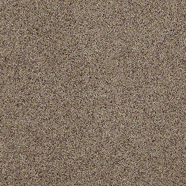 Real Life I Residential Carpet