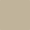 Benjamin Moore's Paint Color AF-145 Kangaroo