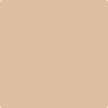 Benjamin Moore's Paint Color AF-195 Terrabella