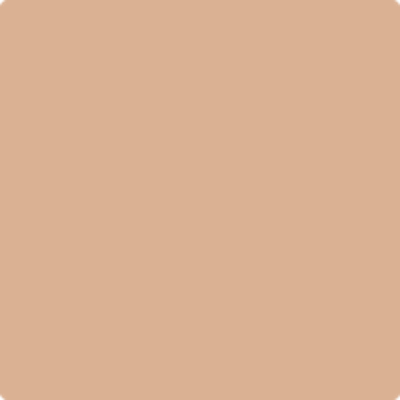 Benjamin Moore's Paint Color AF-205 Serendipity